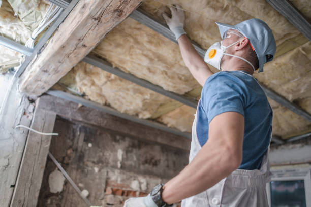 Best Professional Insulation Contractor  in Deltana, AK