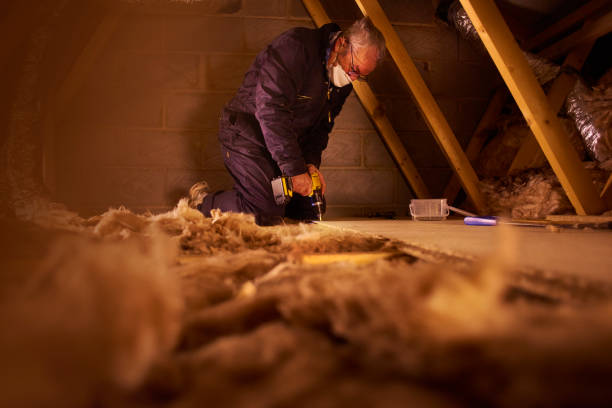 Best Garage Insulation Installation  in Deltana, AK